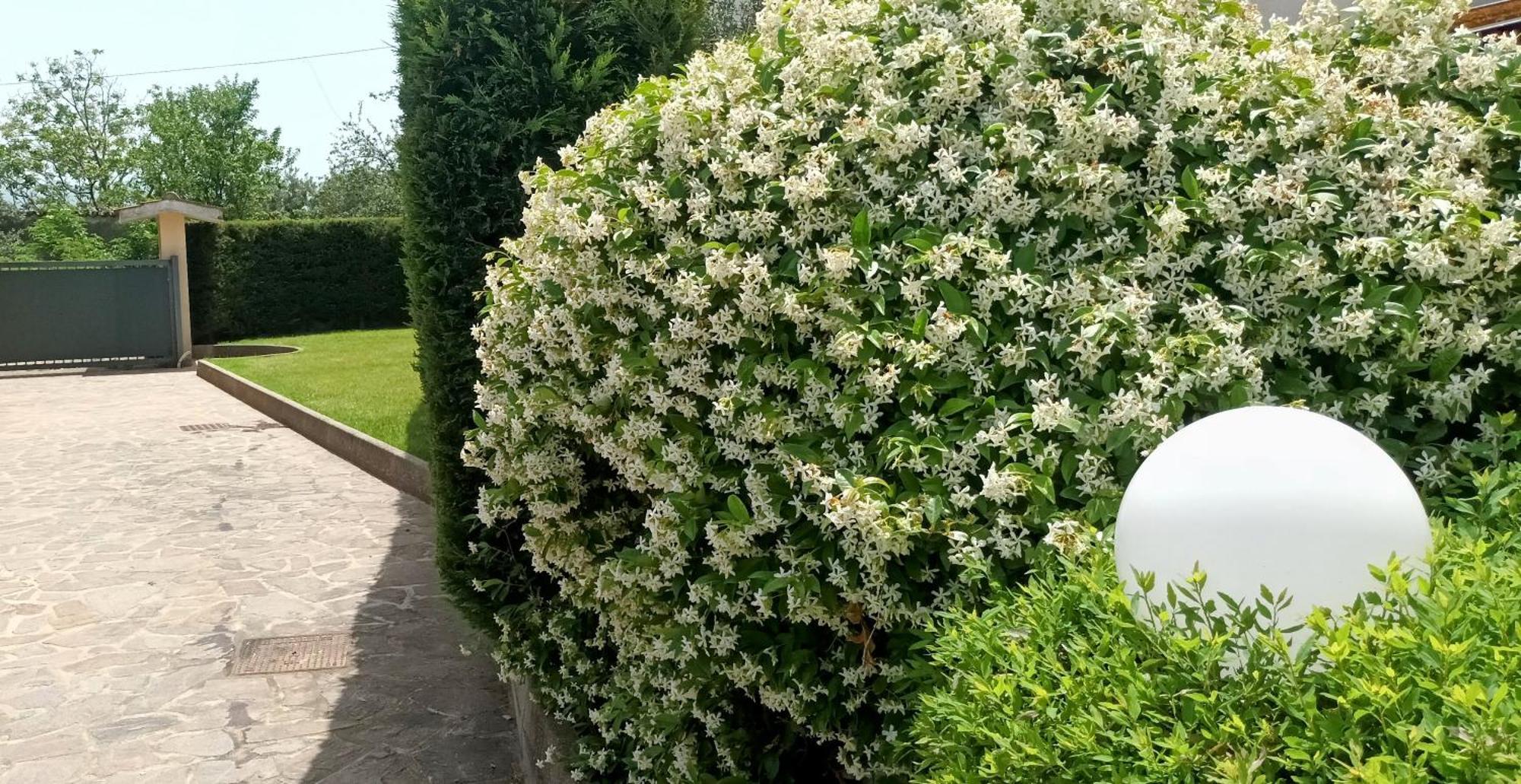 Marano Marchesato La Residenza Del Marchesato B&B 외부 사진