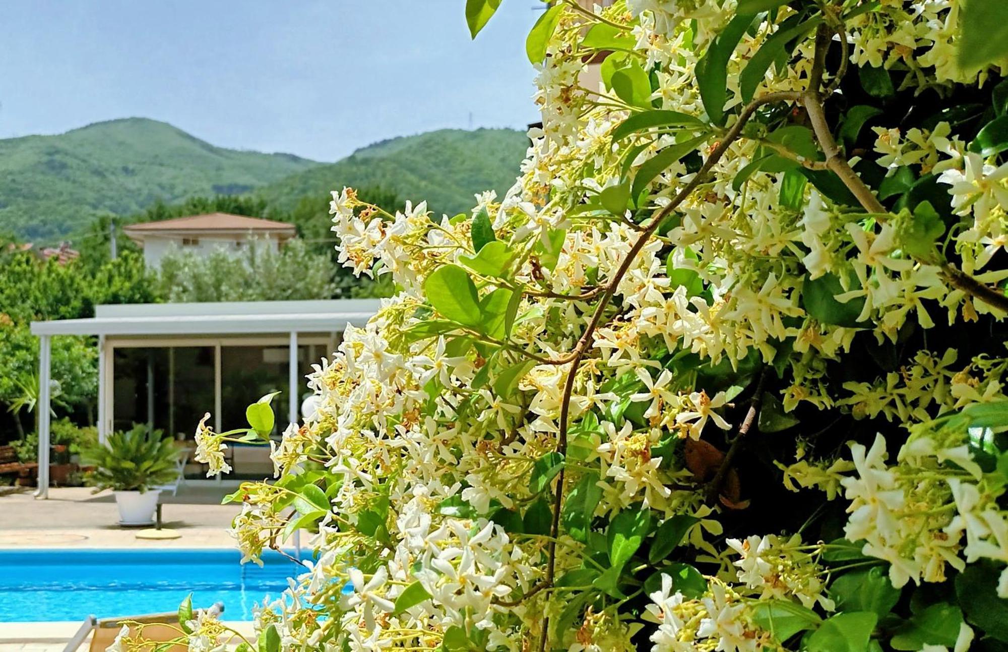 Marano Marchesato La Residenza Del Marchesato B&B 외부 사진